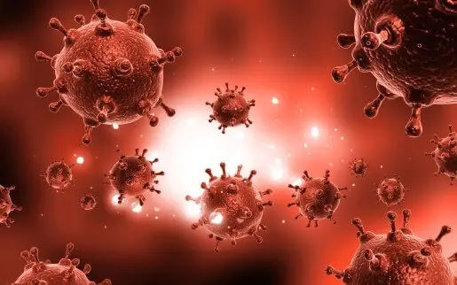 Hormônios que auxiliam na queima de gordura corporal