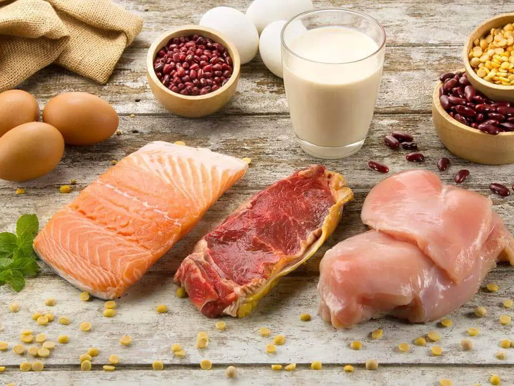 excesso de proteína